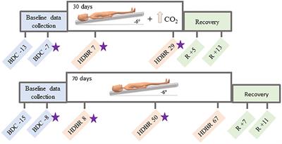 Neural Working Memory Changes During a Spaceflight Analog With Elevated Carbon Dioxide: A Pilot Study
